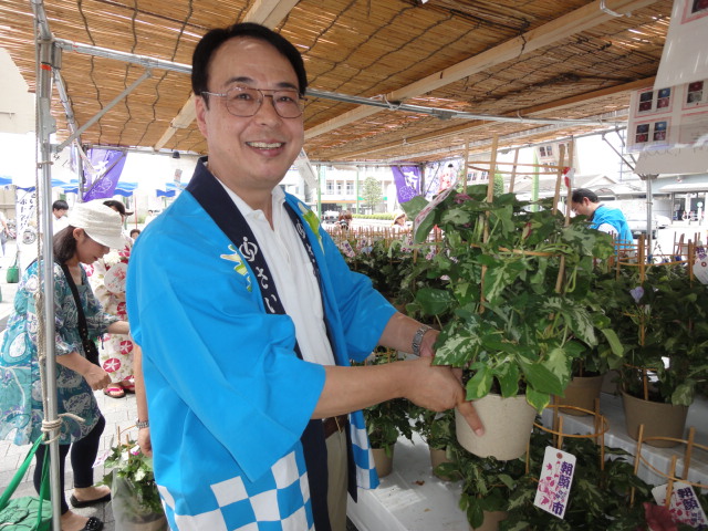 人形のまち岩槻　朝顔市