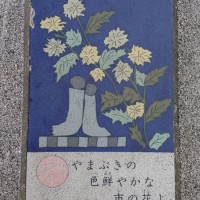 歴史と人形のまち岩槻　岩槻区の花「山吹」