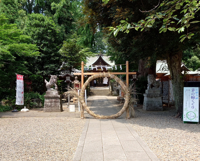 人形のまち岩槻　久伊豆神社　夏越しの祓い　茅の輪くぐり