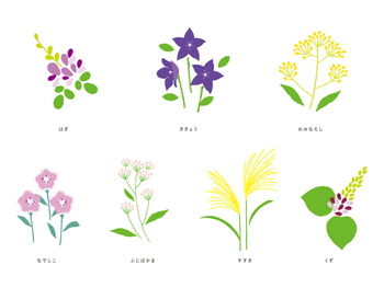 秋の七草(葛・女郎花・萩・桔梗・藤袴・撫子・薄