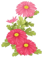 菊の節句　重陽の節句