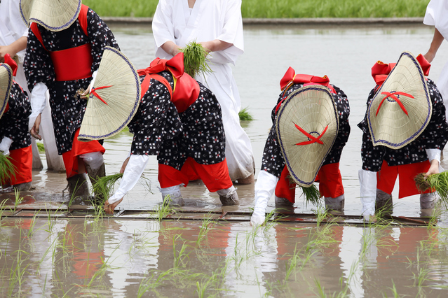 端午の節句の由来　お田植え祭り　神事