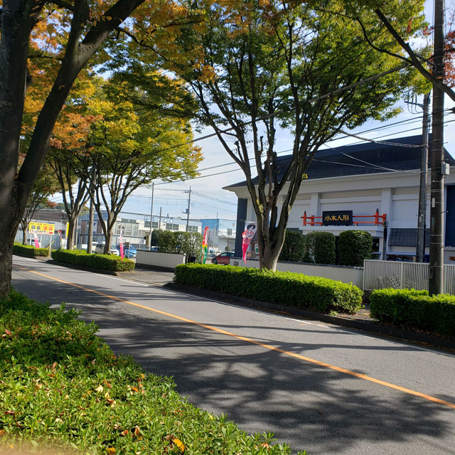 人形のまち岩槻　小木人形　店舗の風景