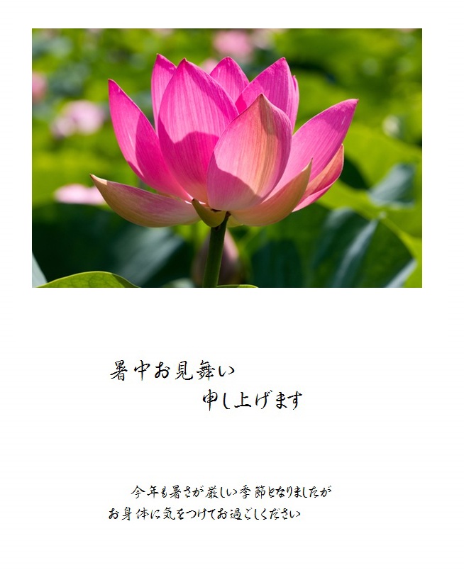 暑中