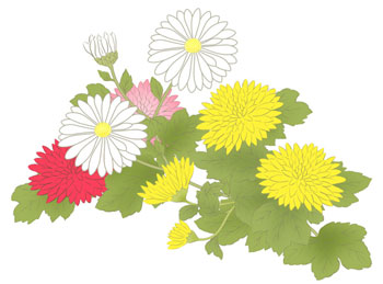 菊の節句　重陽の節句